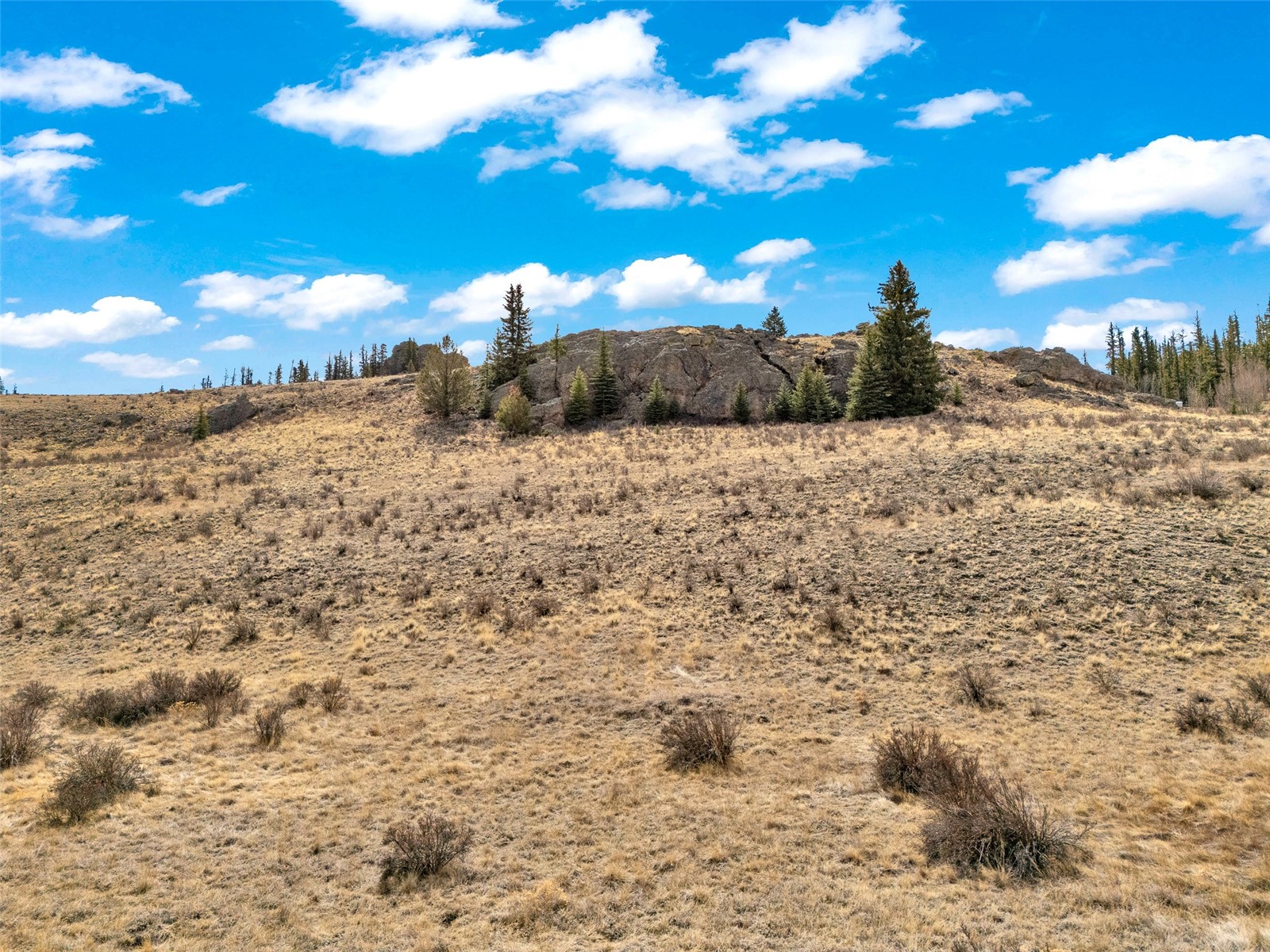 1950 Travois Road Como, CO 80456 - Photo 9 of 35 a view of a dry yard with lots of trees