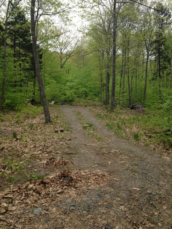 0 Orpine Road Dedham, ME 04429 - Photo 3 of 3 Photo