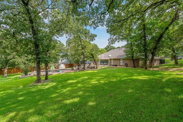 a view of a trees with a big yard