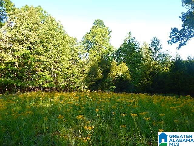 Sunhill Lane, Unit 14 Oneonta, AL 35121 - Photo 13 of 27