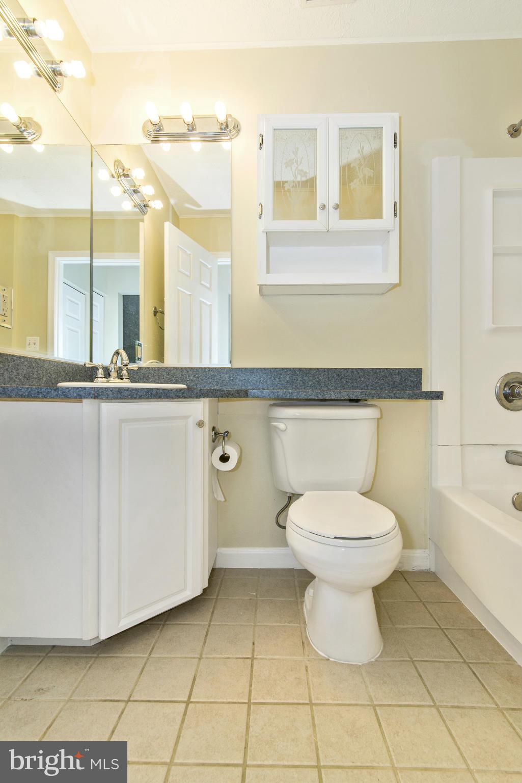 1709 Brookshire Run Point of Rocks, MD 21777 - Photo 21 of 24 a bathroom with a toilet a sink and a mirror