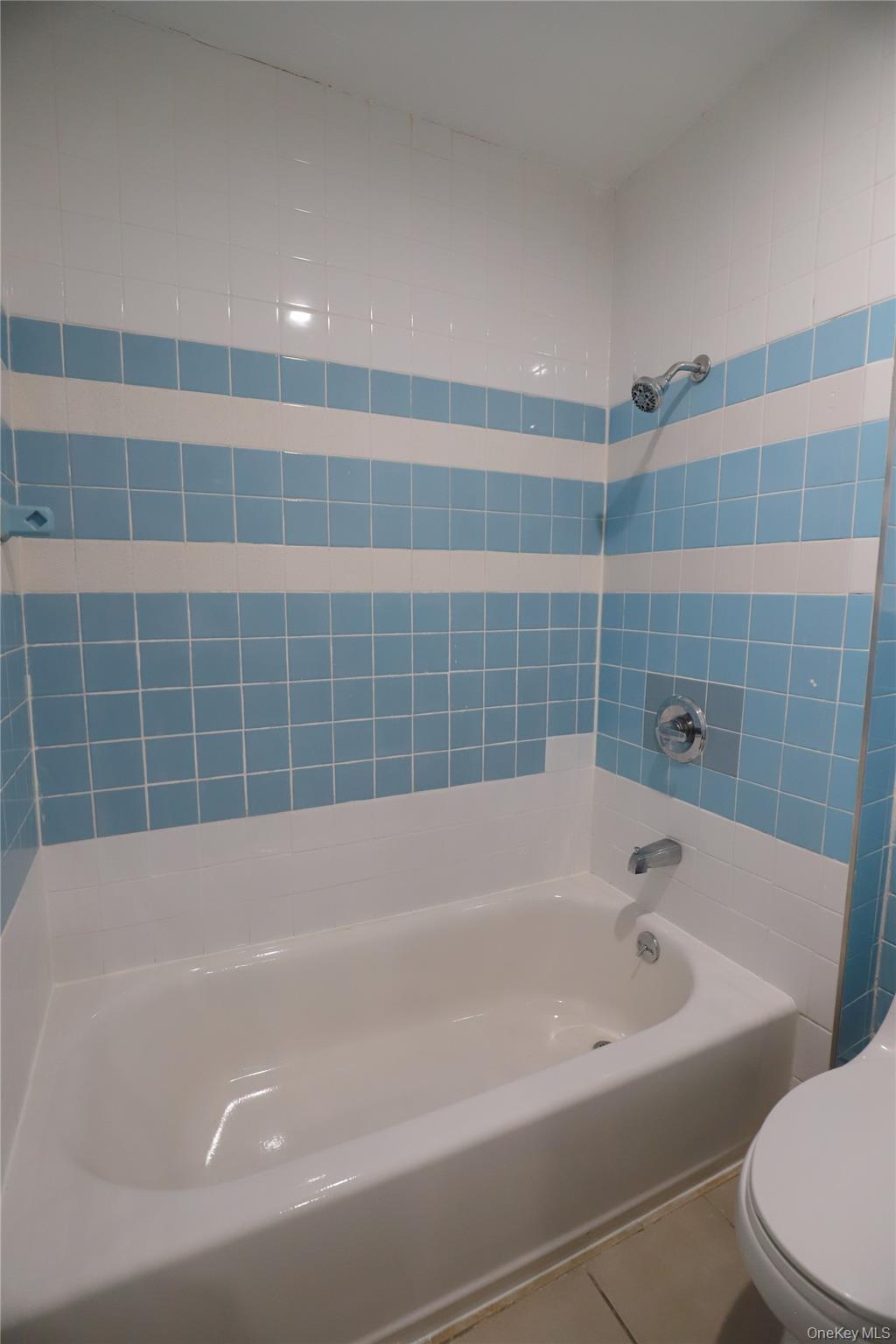 57-32 Xenia Street Queens, NY 11368 - Photo 13 of 15