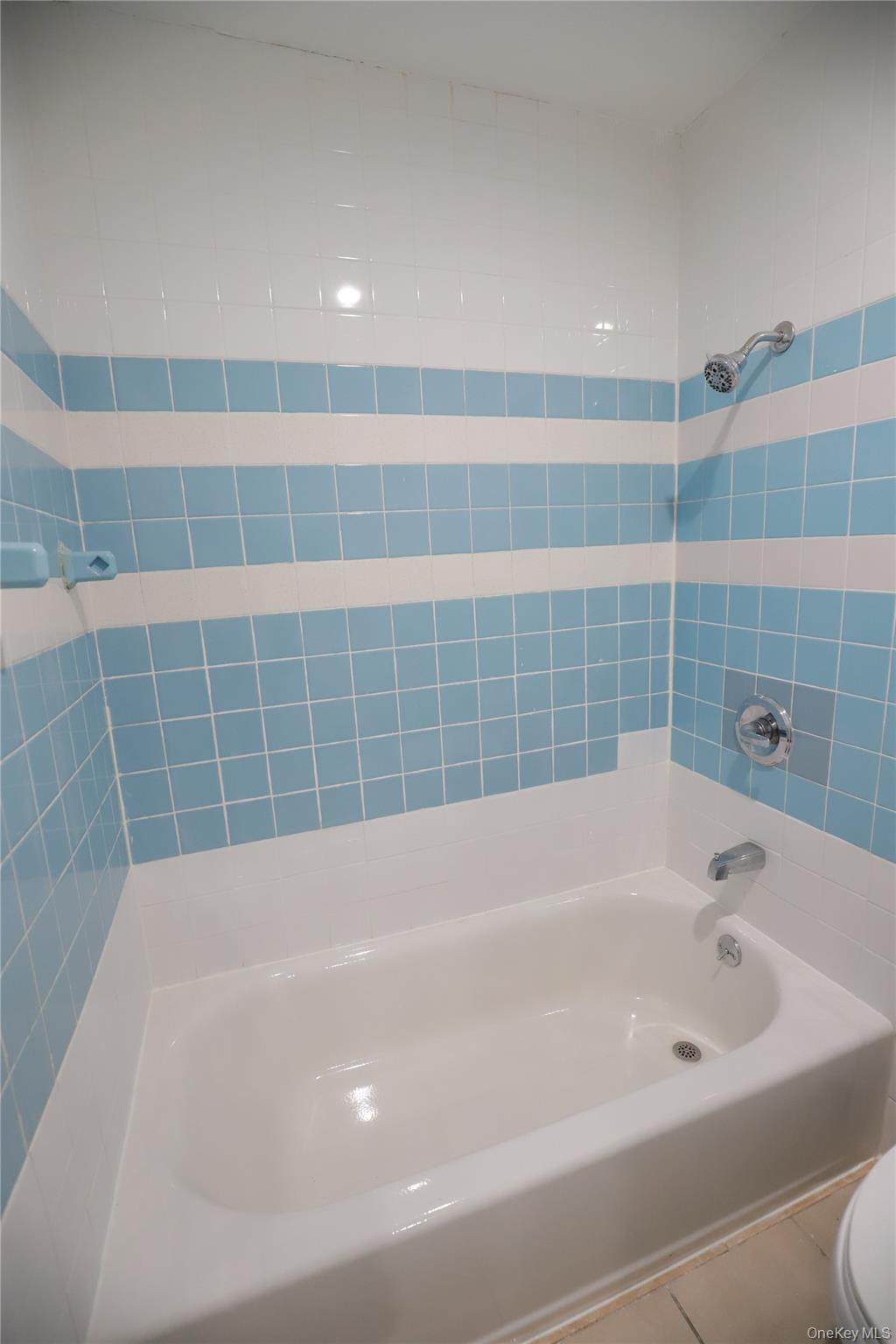 57-32 Xenia Street Queens, NY 11368 - Photo 4 of 12 a bathroom with a bathtub