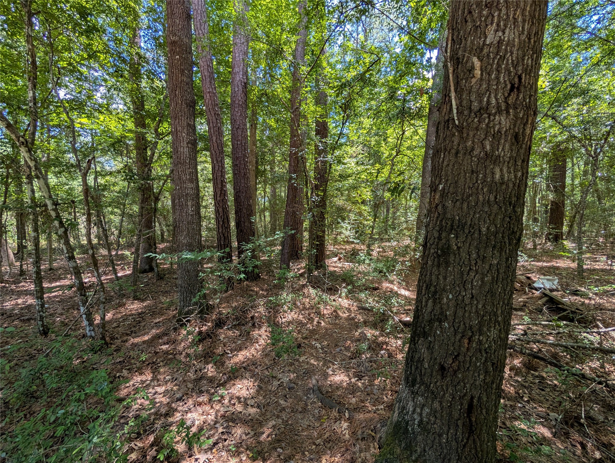 0 Rd 2721 Cleveland Tx 77327 Cleveland, TX 77327 - Photo 2 of 8