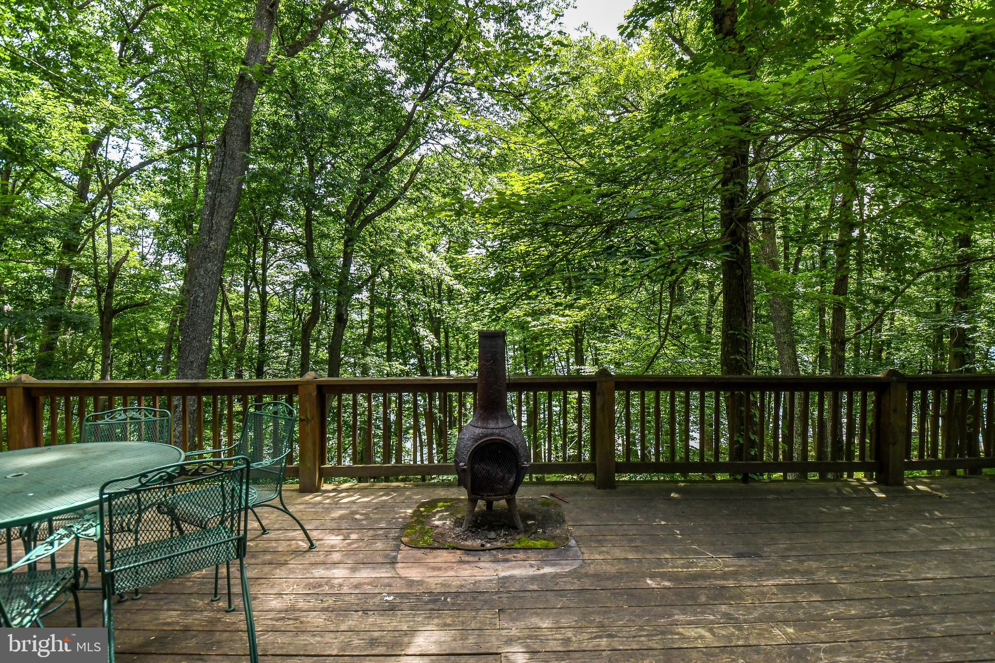 2871 Shingle Camp Road McHenry, MD 21541 - Photo 21 of 37 Gallery Image 21