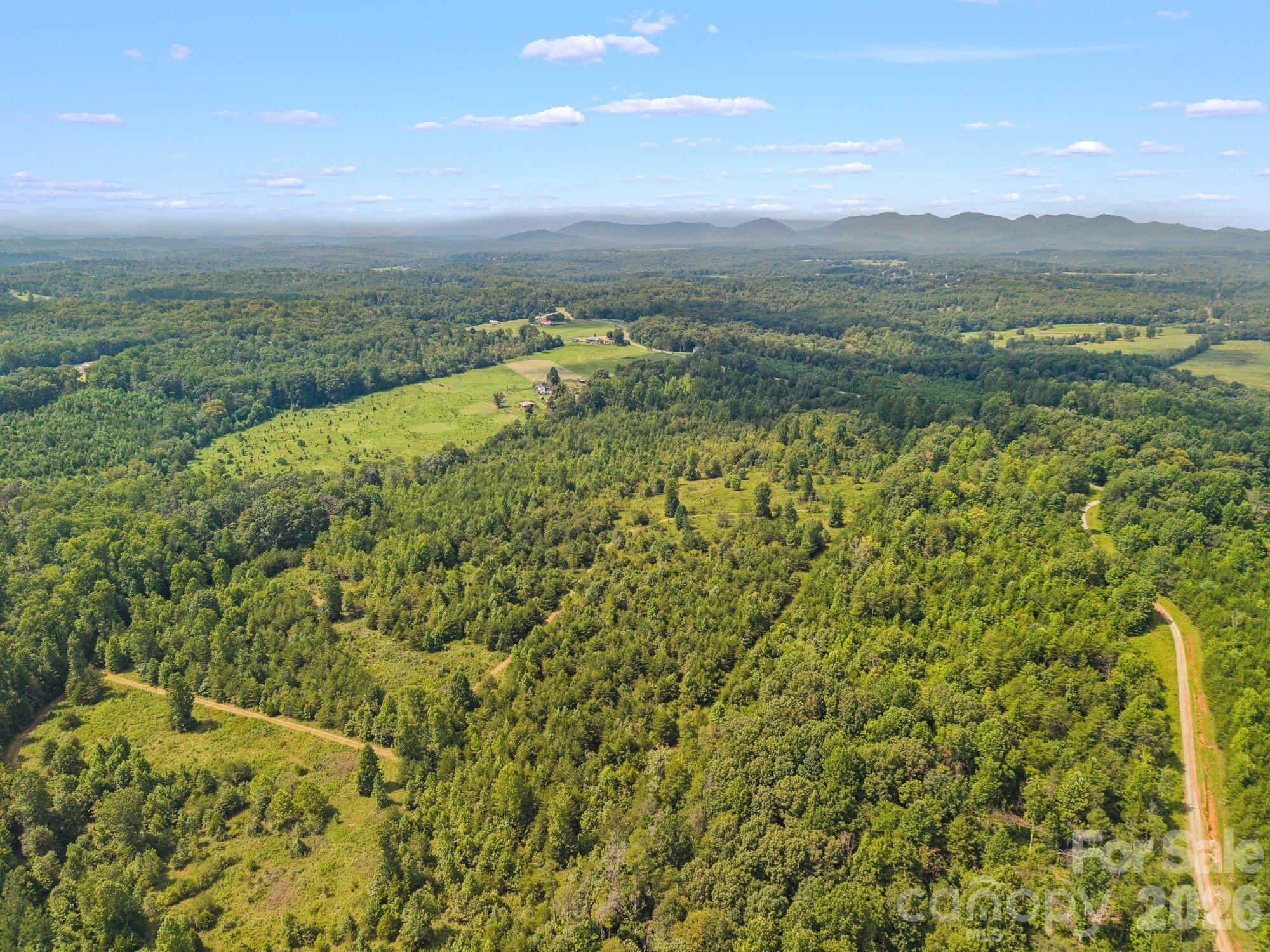 0 Chilly Bowl Road Rutherfordton, NC 28139 - Photo 17 of 18 Gallery Image 17