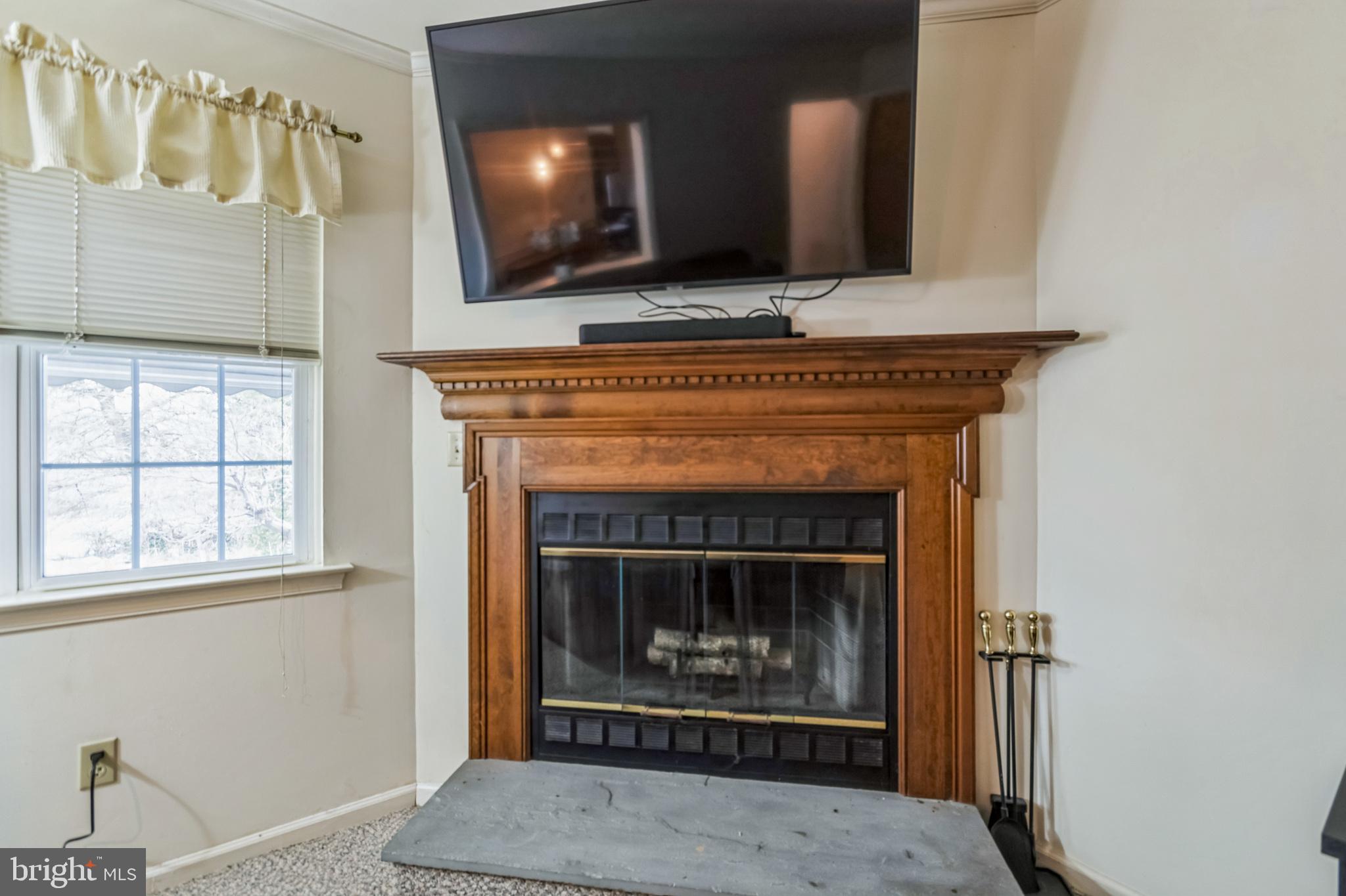 103 Upper Valley Lane Newark, DE 19711 - Photo 11 of 31 a living room with a fireplace and a fireplace