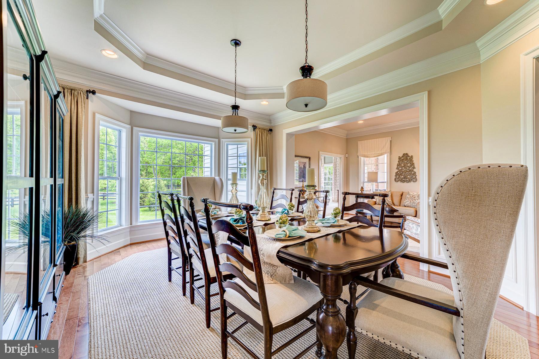 14732 Raptor Ridge Way Leesburg, VA 20176 - Photo 14 of 49 Grand formal dining room