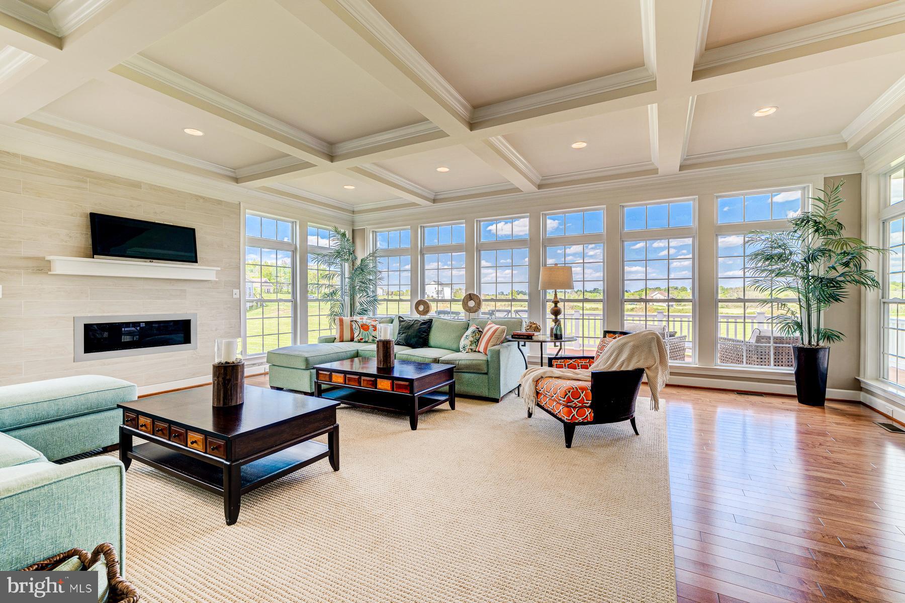 14732 Raptor Ridge Way Leesburg, VA 20176 - Photo 22 of 49 Coffered ceiling and focal gas fireplace