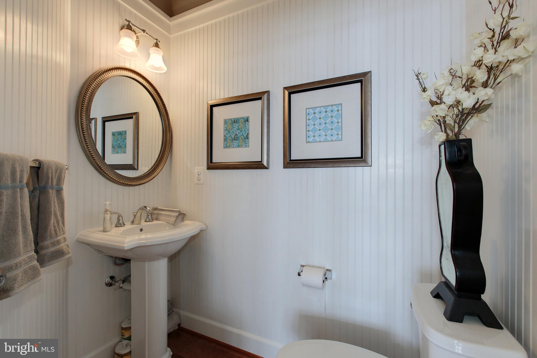 14732 Raptor Ridge Way Leesburg, VA 20176 - Photo 40 of 49 Main level powder room