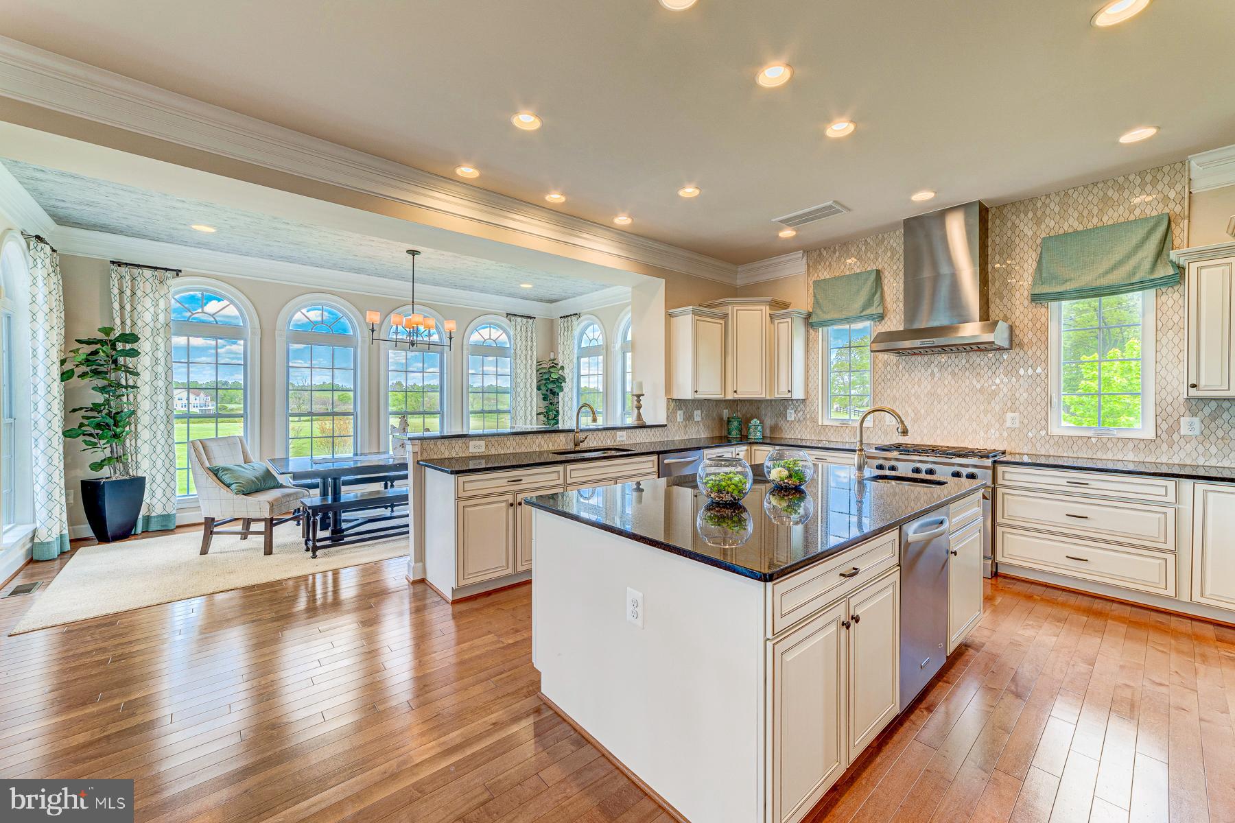 14732 Raptor Ridge Way Leesburg, VA 20176 - Photo 5 of 49 Gourmet kitchen with expansive island