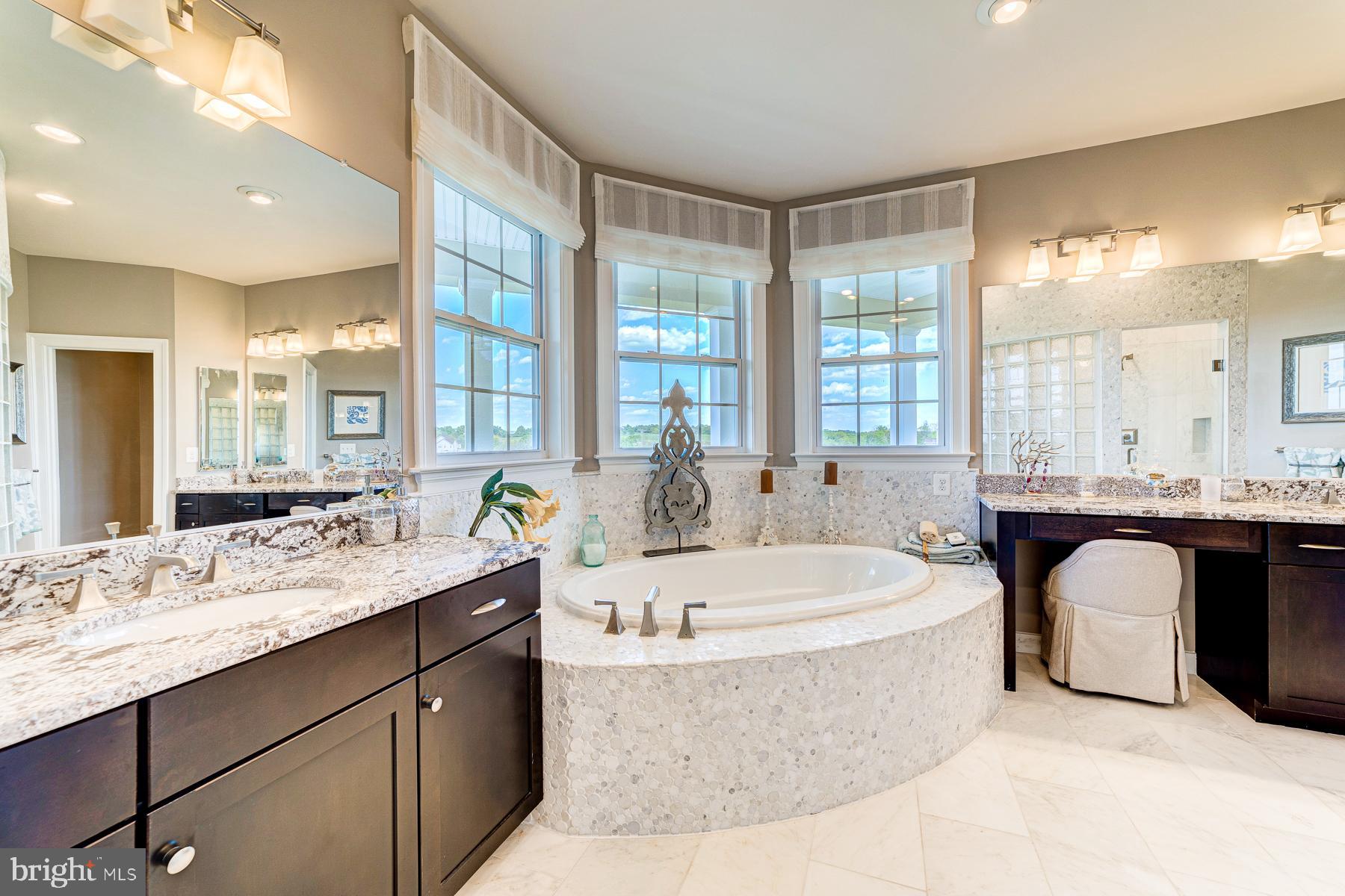 14732 Raptor Ridge Way Leesburg, VA 20176 - Photo 7 of 49 Spa-like master bath