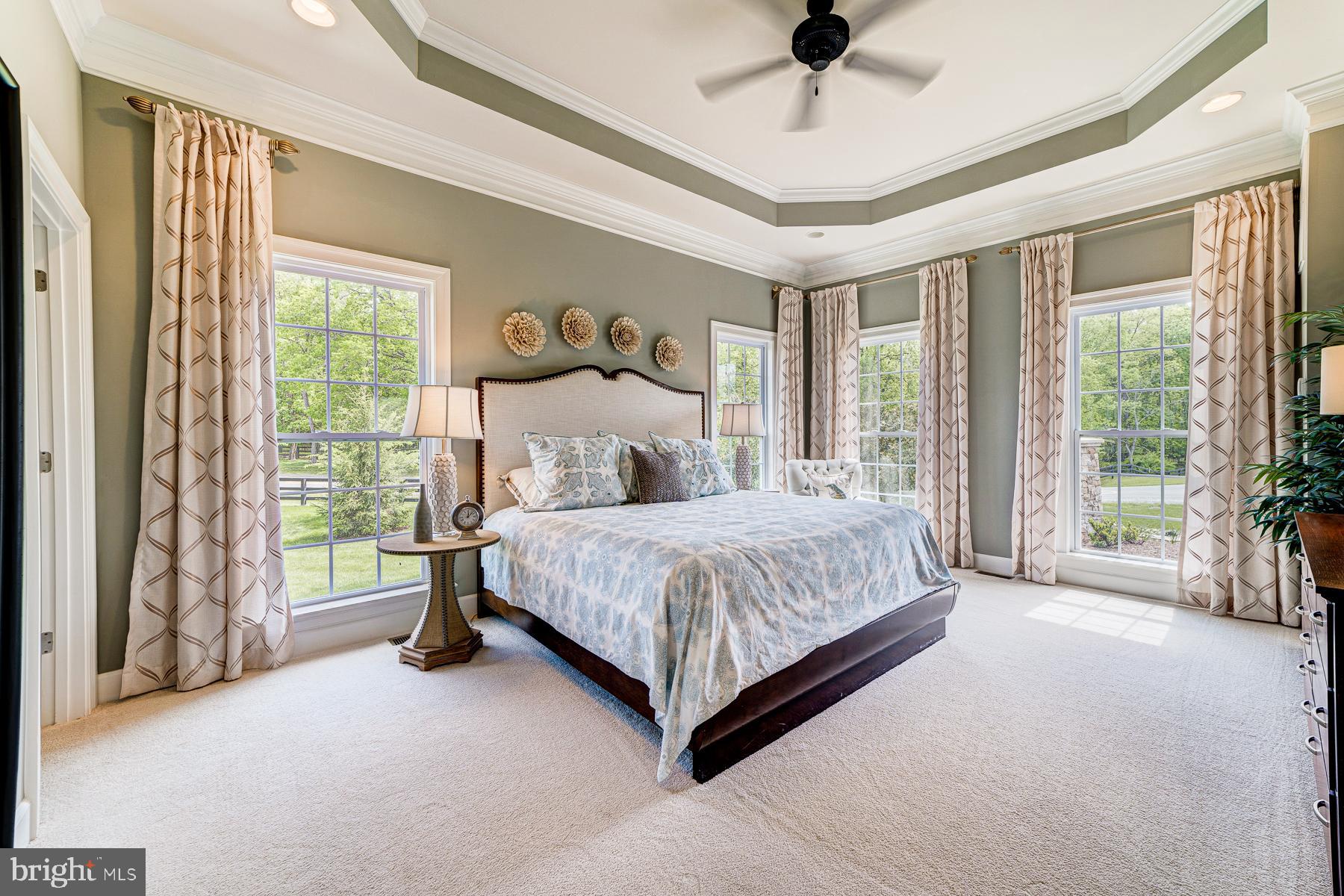 14732 Raptor Ridge Way Leesburg, VA 20176 - Photo 8 of 49 Main level master suite