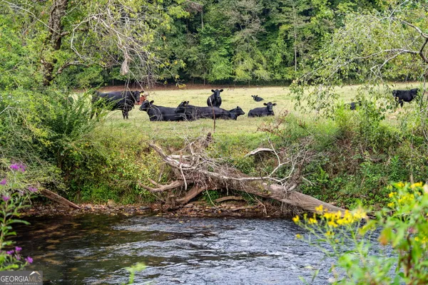 a bedroom with a bed and a flat tv screen on dresser