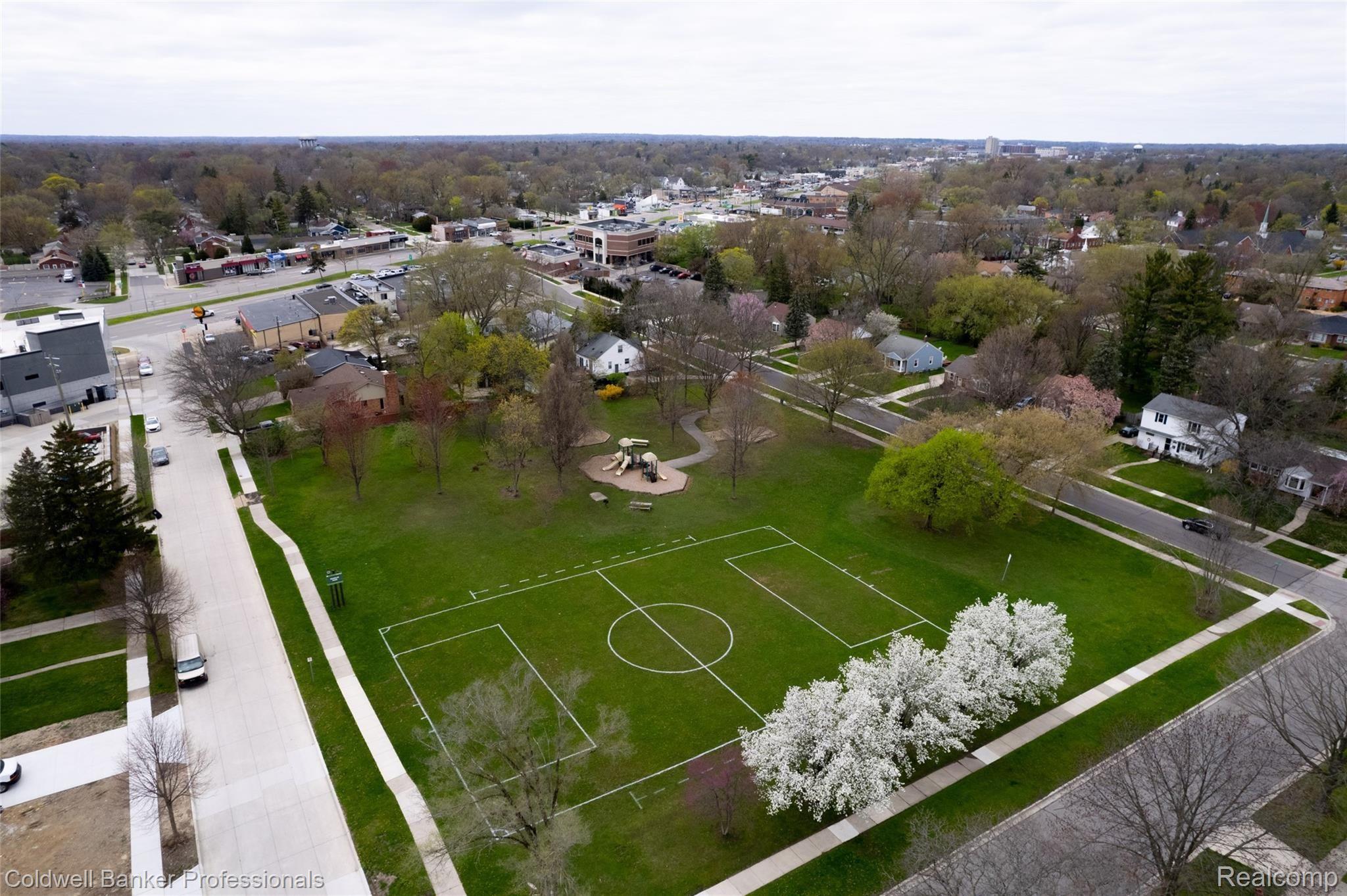 4101 Buckingham Road Royal Oak, MI 48073 - Photo 76 of 82 DJI_0533.jpg