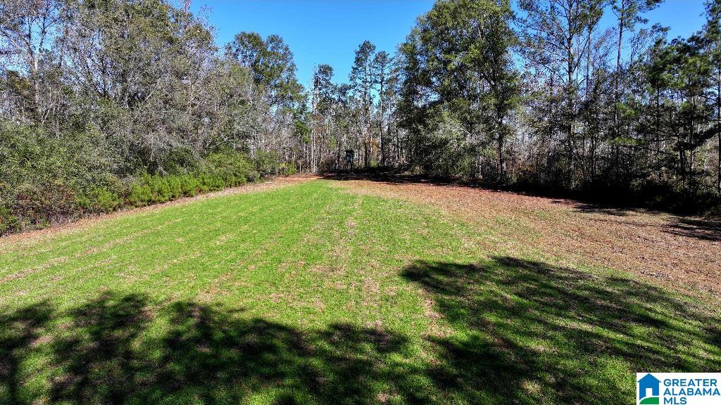 200 Kelly Creek Road Odenville, AL 35120 - Photo 1 of 47