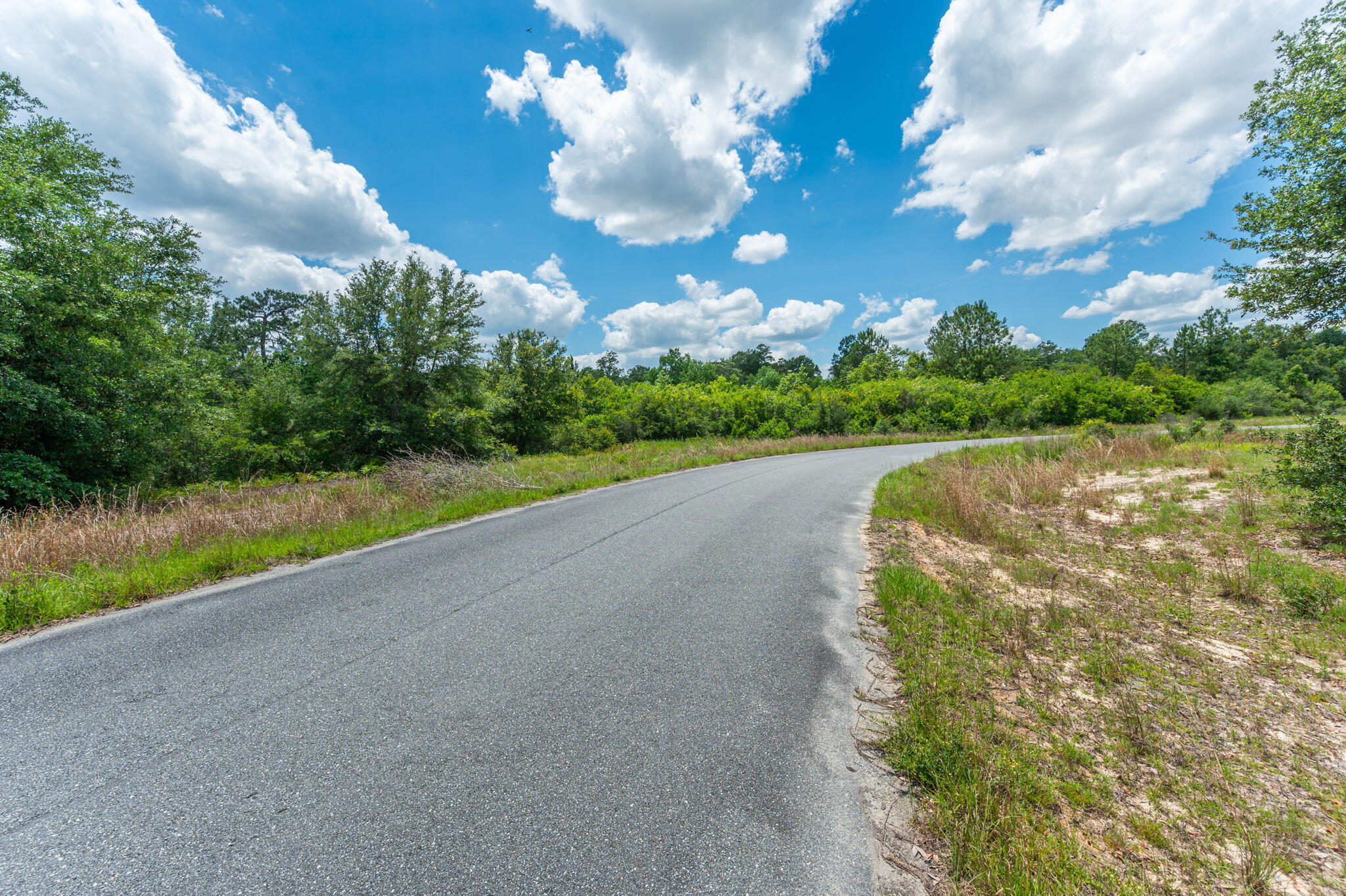 F-10 F-10 Long Branch Farm Road Baker, FL 32531 - Photo 16 of 18 29-web-or-mls-long-branch