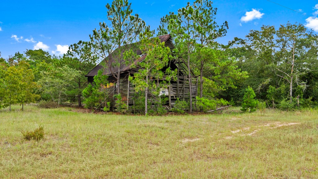 0 Liberty Road Mauk, GA 31058 - Photo 2 of 13 Remnants of Liberty Church