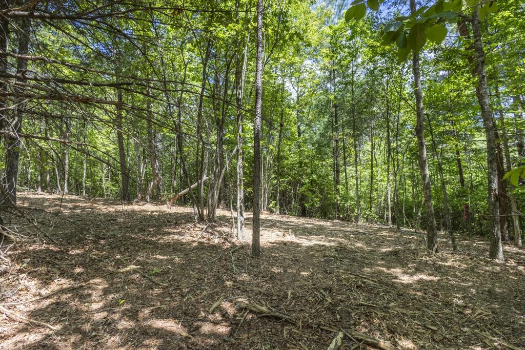 34-ac Donley Road Murphy, NC 28906 - Photo 28 of 37 Gallery Image 28