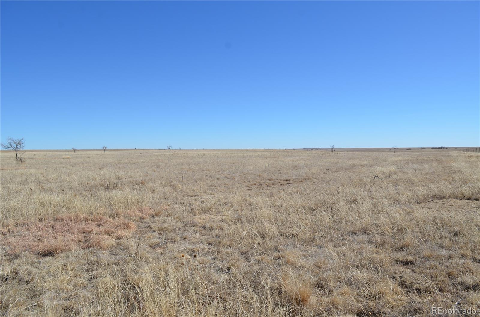 11 County Road West Rush, CO 80833 - Photo 3 of 8 a view of ocean