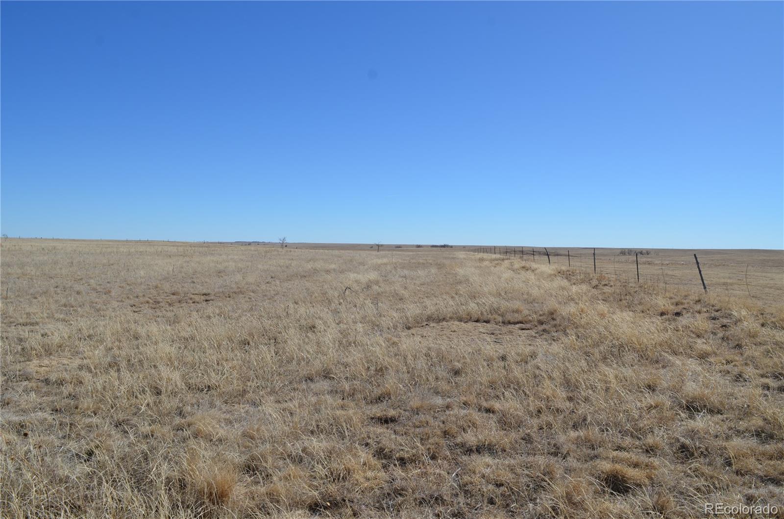 11 County Road West Rush, CO 80833 - Photo 4 of 8 a view of a dry yard with trees