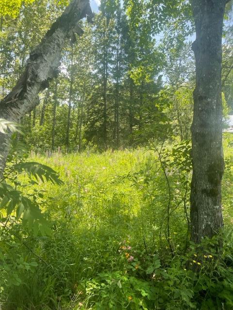 24 Convent Road Eagle Lake, ME 04739 - Photo 7 of 17 IMG_9725