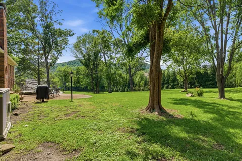 a view of a backyard with a tree