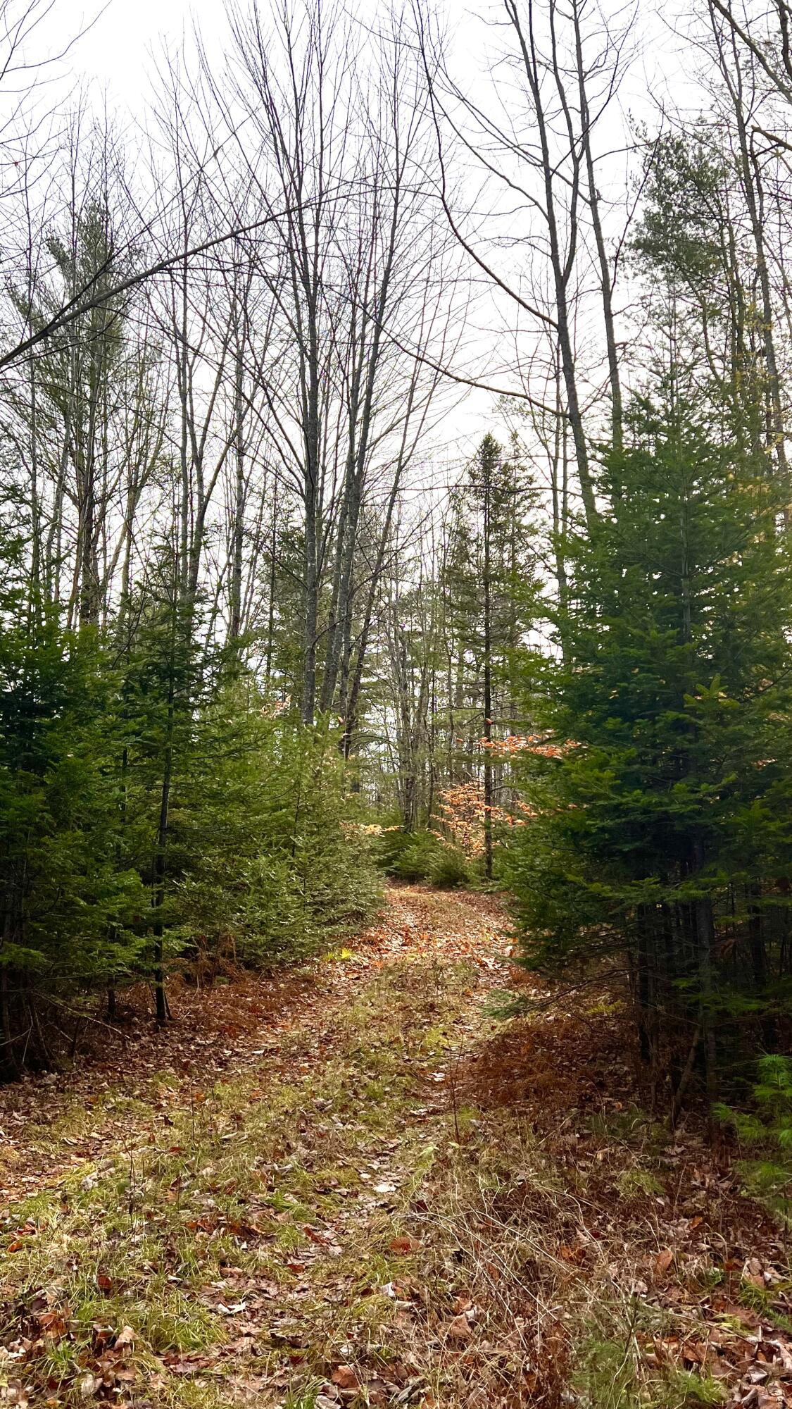 8 Map Road Parkman, ME 04443 - Photo 11 of 15 IMG_4068