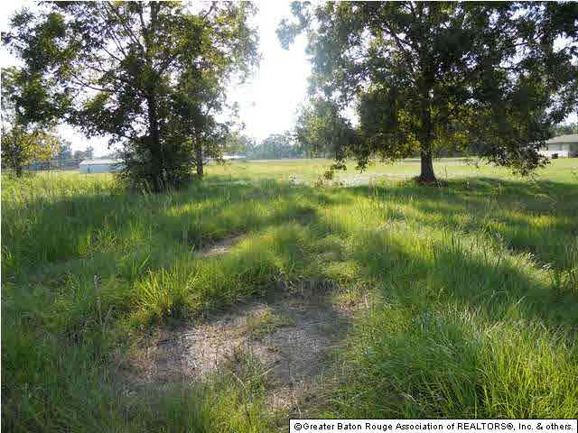 0 South Vignes Road Baton Rouge, LA 70817 - Photo 1 of 8 Gallery Image 1