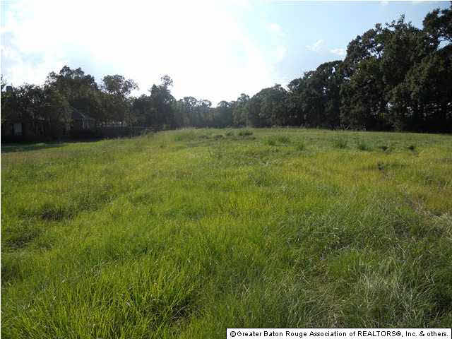 0 South Vignes Road Baton Rouge, LA 70817 - Photo 5 of 8 Gallery Image 5