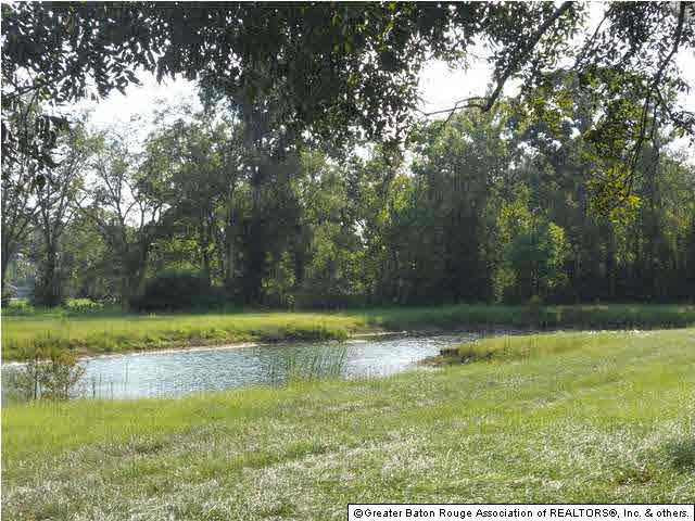 0 South Vignes Road Baton Rouge, LA 70817 - Photo 7 of 8 Gallery Image 7