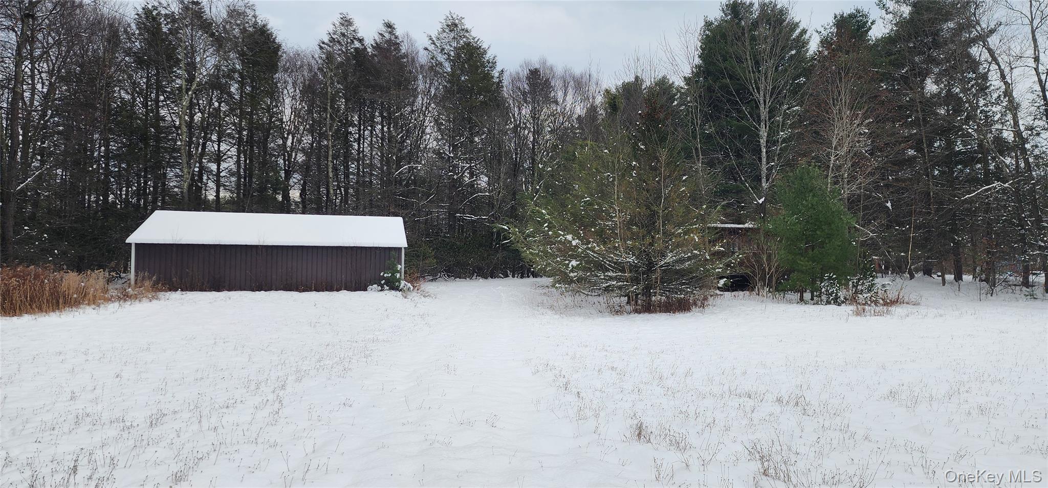 a view of outdoor space and yard