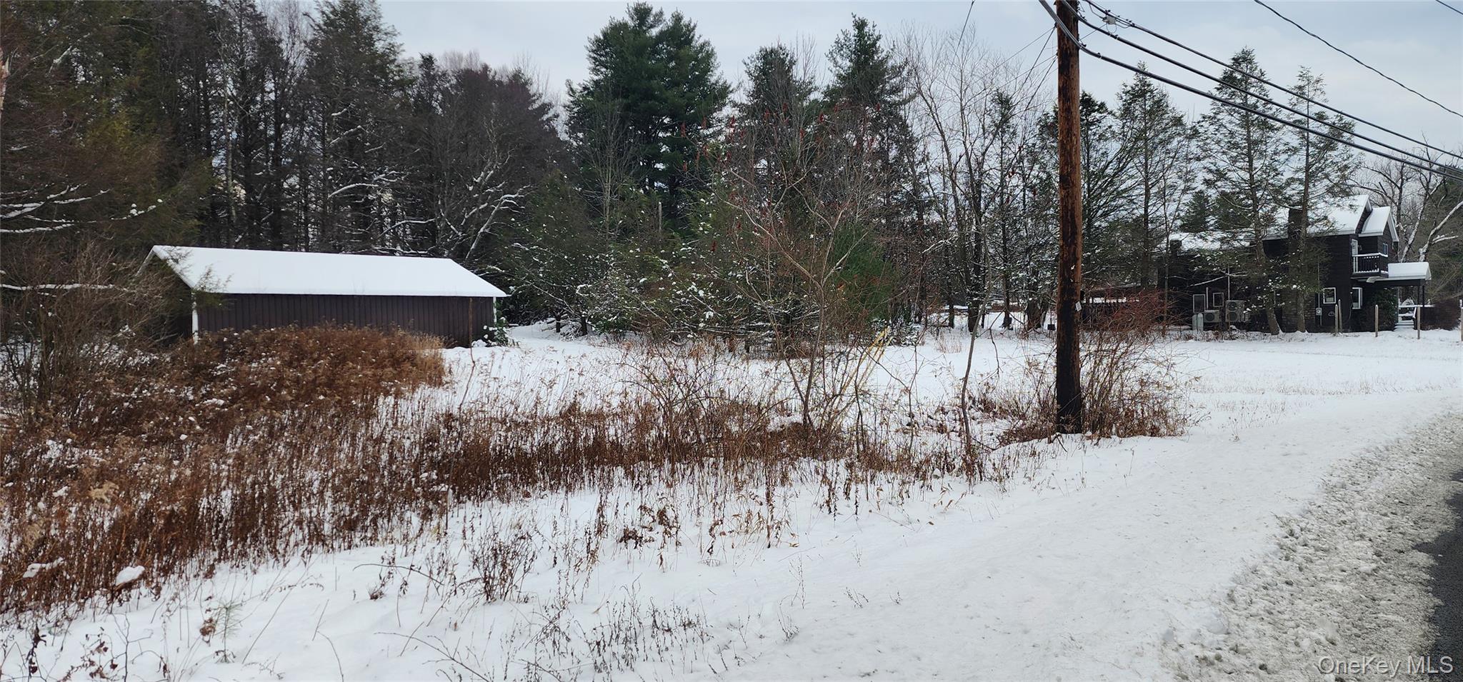 20 Hasbrouck A Road Loch Sheldrake, NY 12759 - Photo 2 of 8 a view of outdoor space and yard