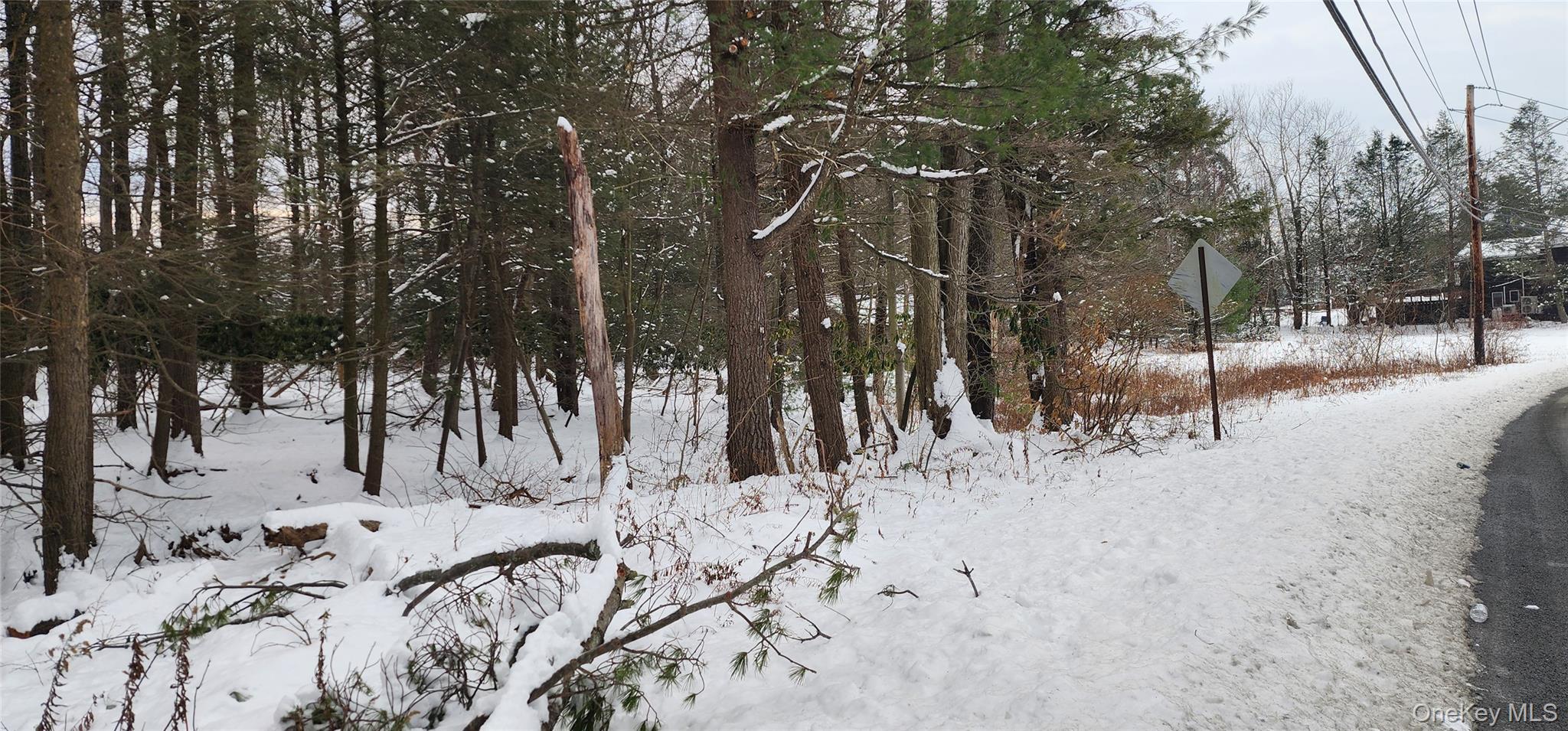 20 Hasbrouck A Road Loch Sheldrake, NY 12759 - Photo 3 of 8 a view of snow on a road