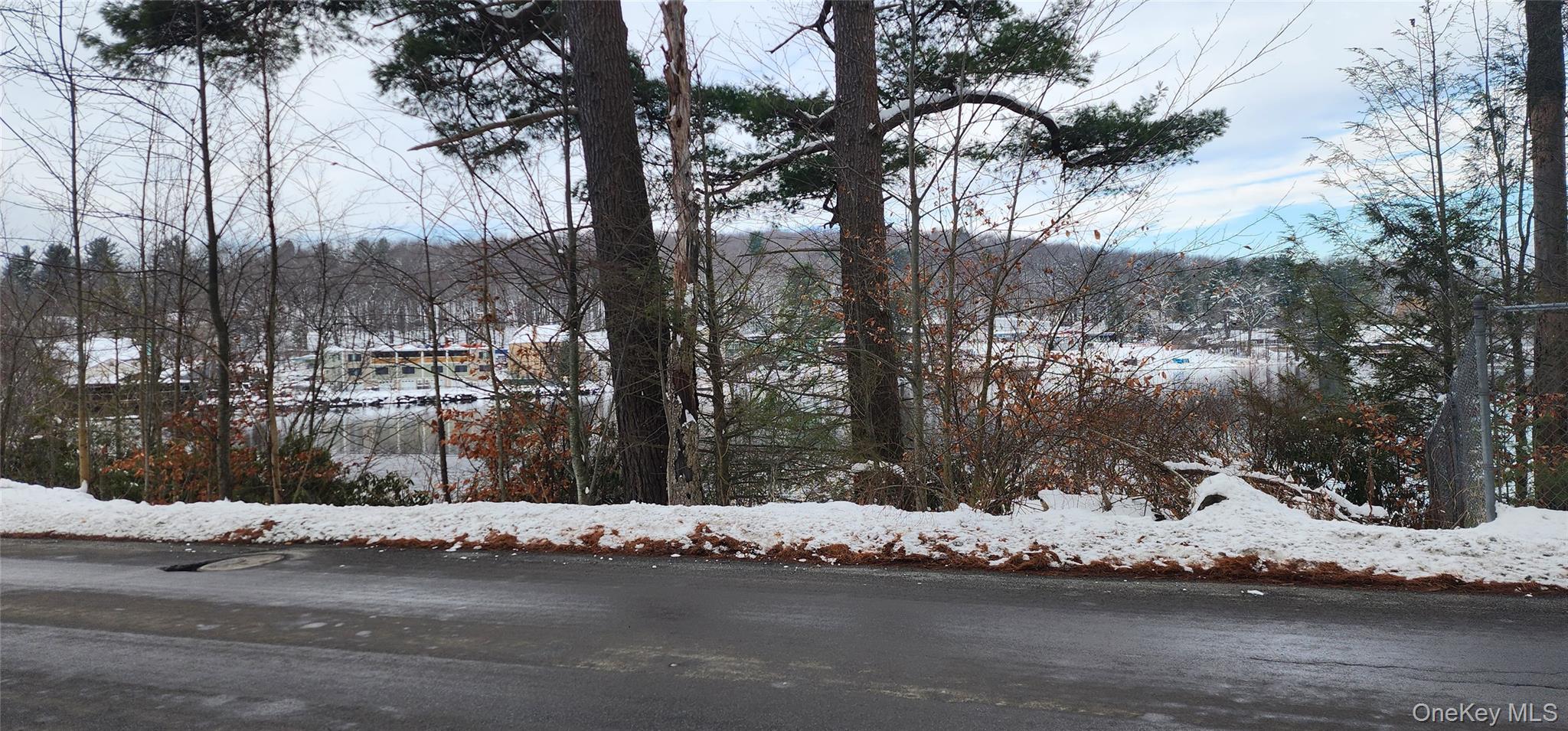 20 Hasbrouck A Road Loch Sheldrake, NY 12759 - Photo 4 of 8