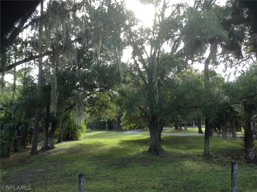 4091 Staley Road Fort Myers, FL 33905 - Photo 15 of 17 a view of a trees with a yard