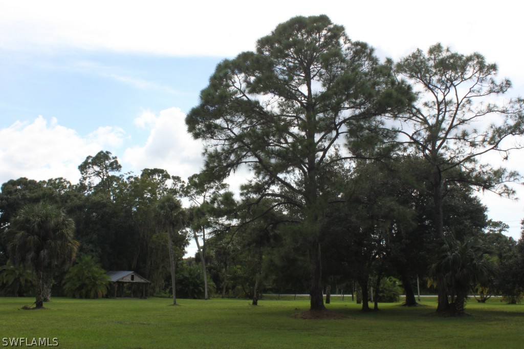 4091 Staley Road Fort Myers, FL 33905 - Photo 17 of 17 a view of a park with large trees