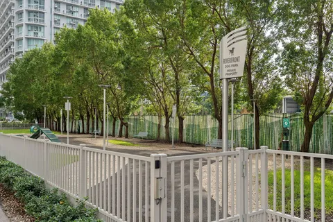 a view of a park with large trees