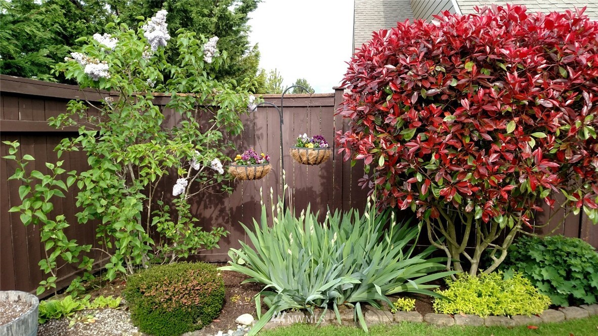 981 Chestnut Loop Mount Vernon, WA 98274 - Photo 29 of 40 Gallery Image 29