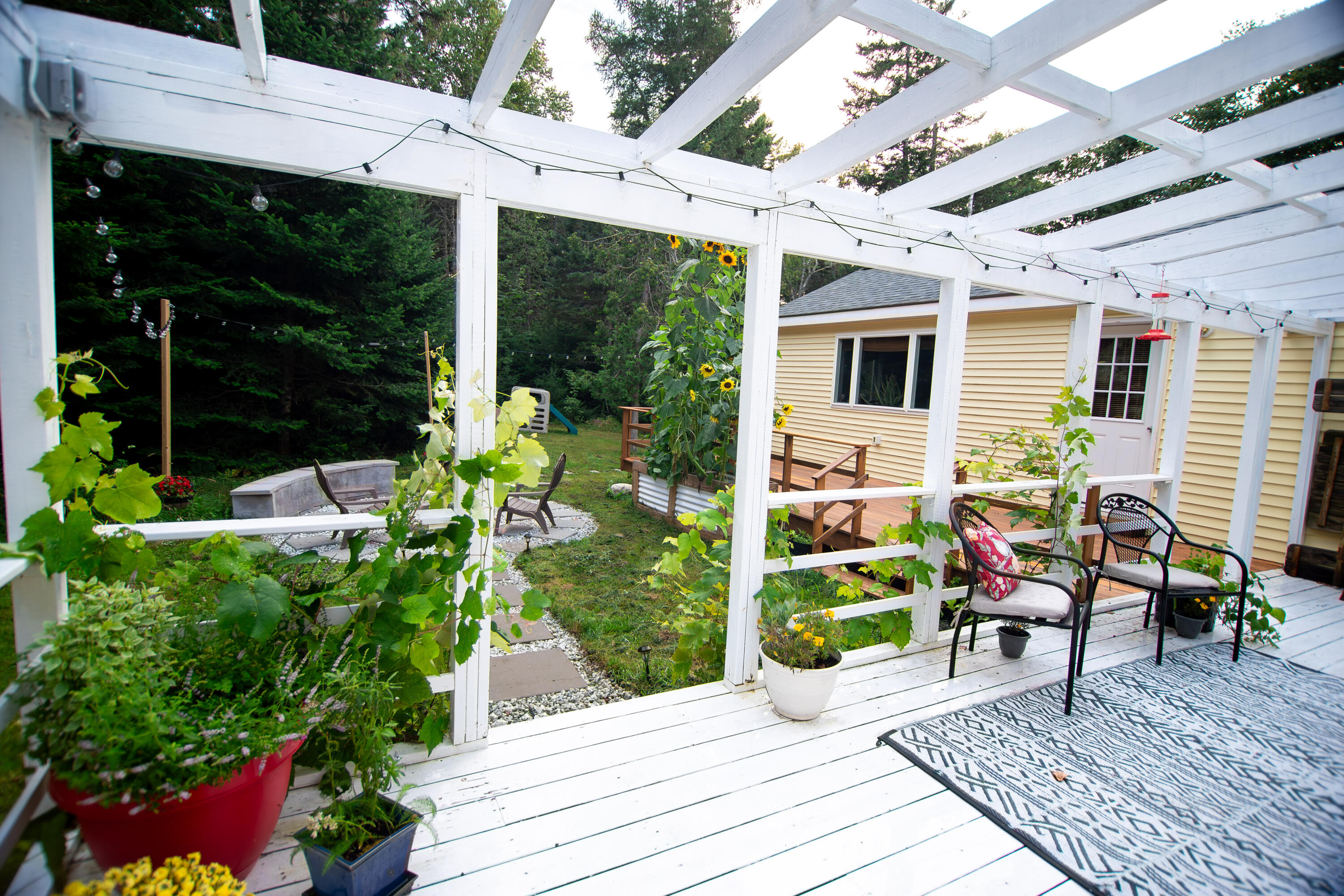 259 Flye Point Road Brooklin, ME 04616 - Photo 18 of 65 259 Flye Point -35