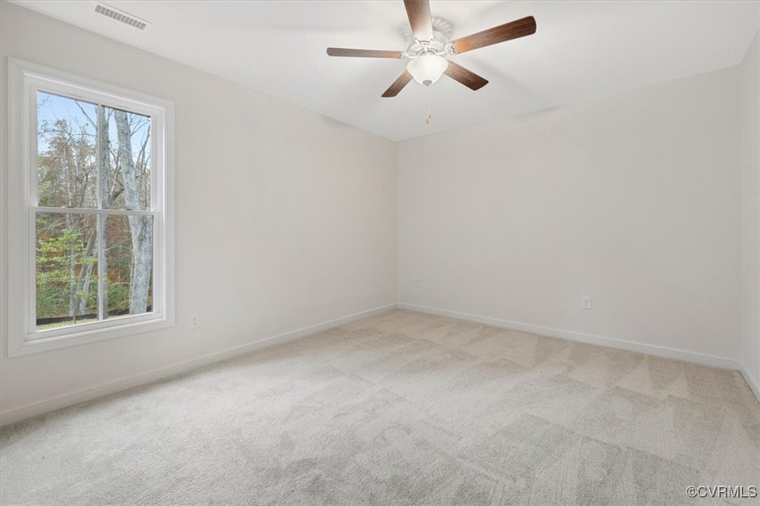 4290 River Road West Goochland, VA 23063 - Photo 25 of 43 Gallery Image 25