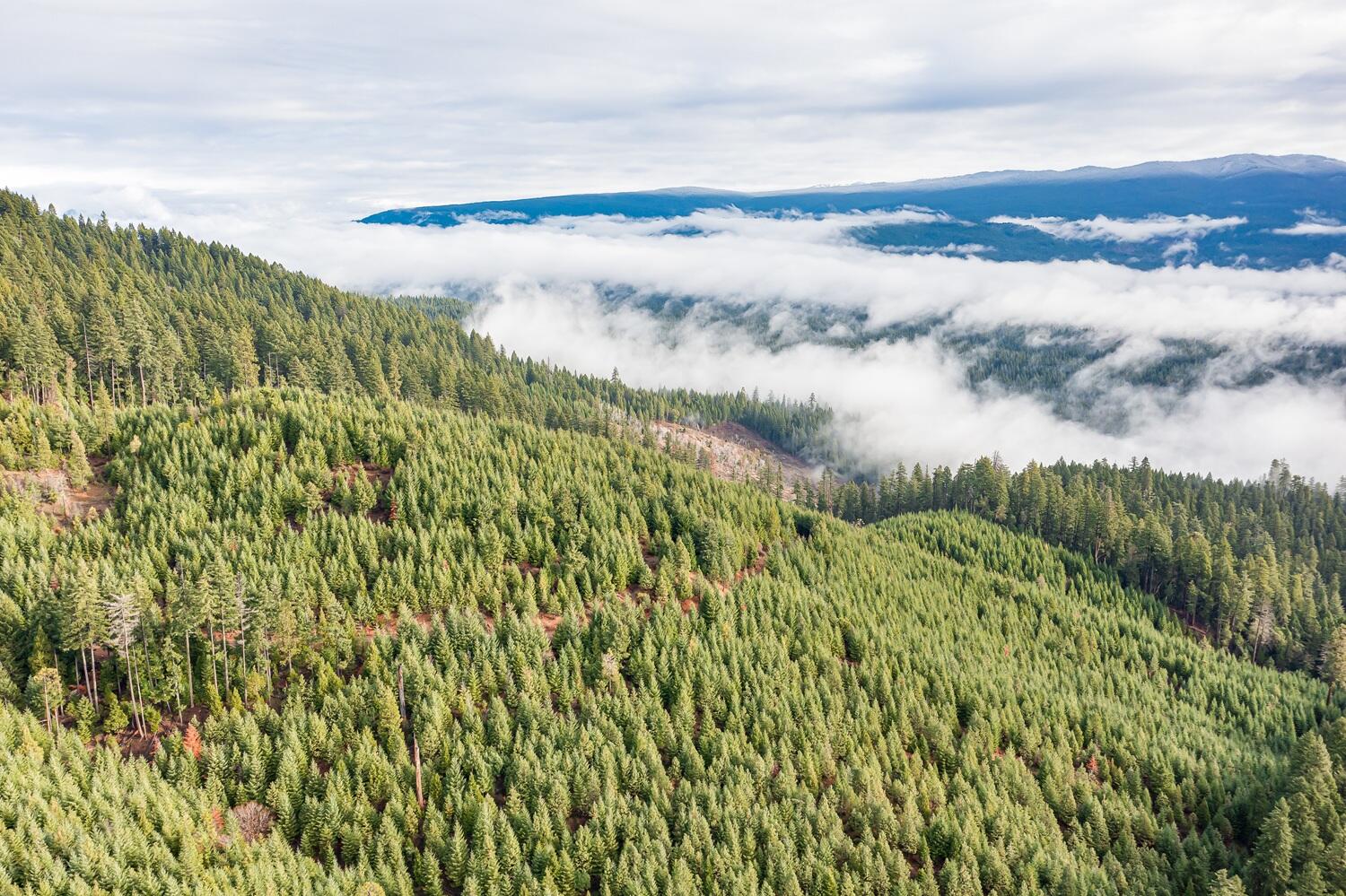 River Road Trail, OR 97541 - Photo 12 of 20 DJI_0952HDR27