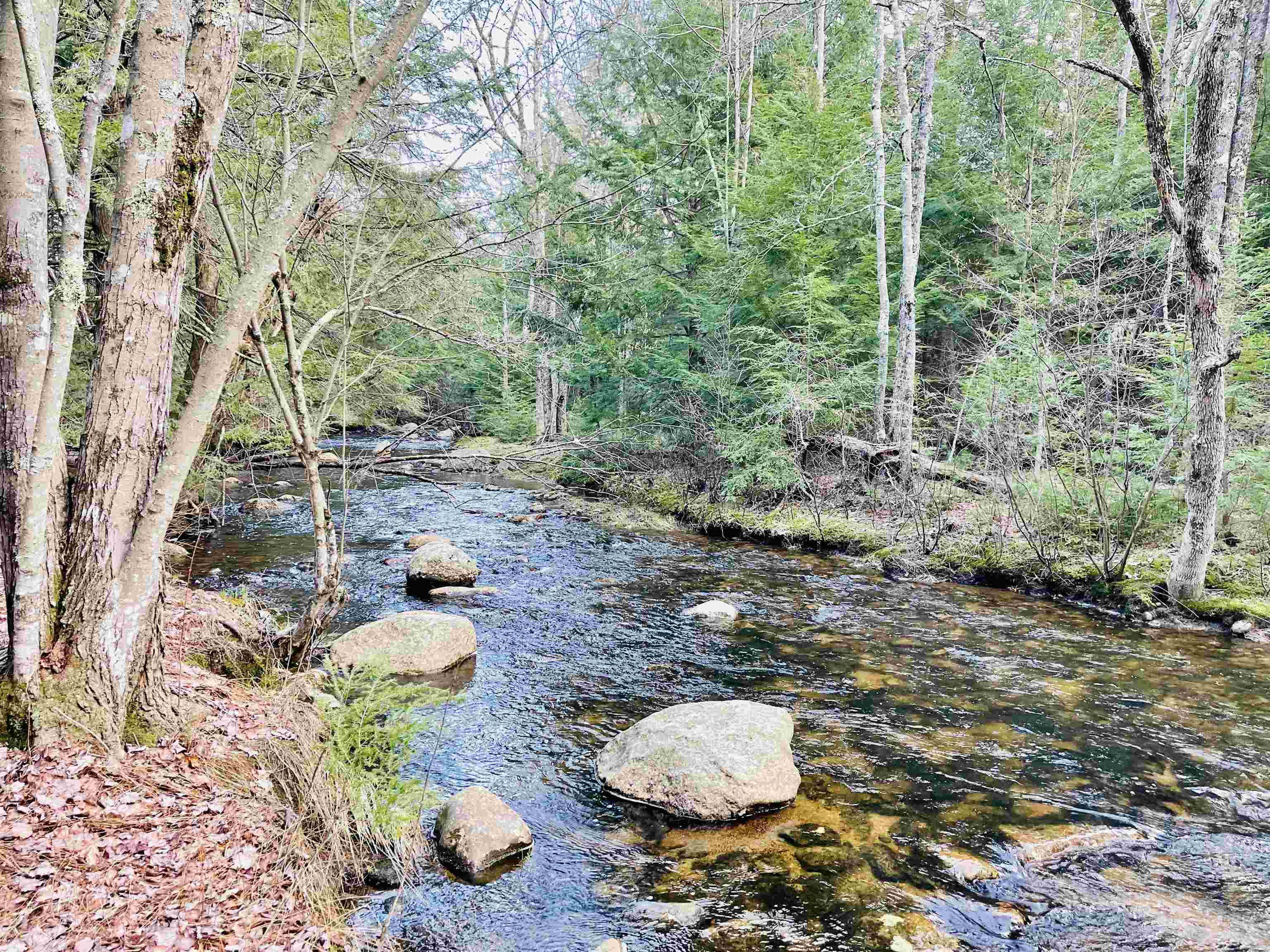 595 New Road Barnstead, NH 03225 - Photo 11 of 39