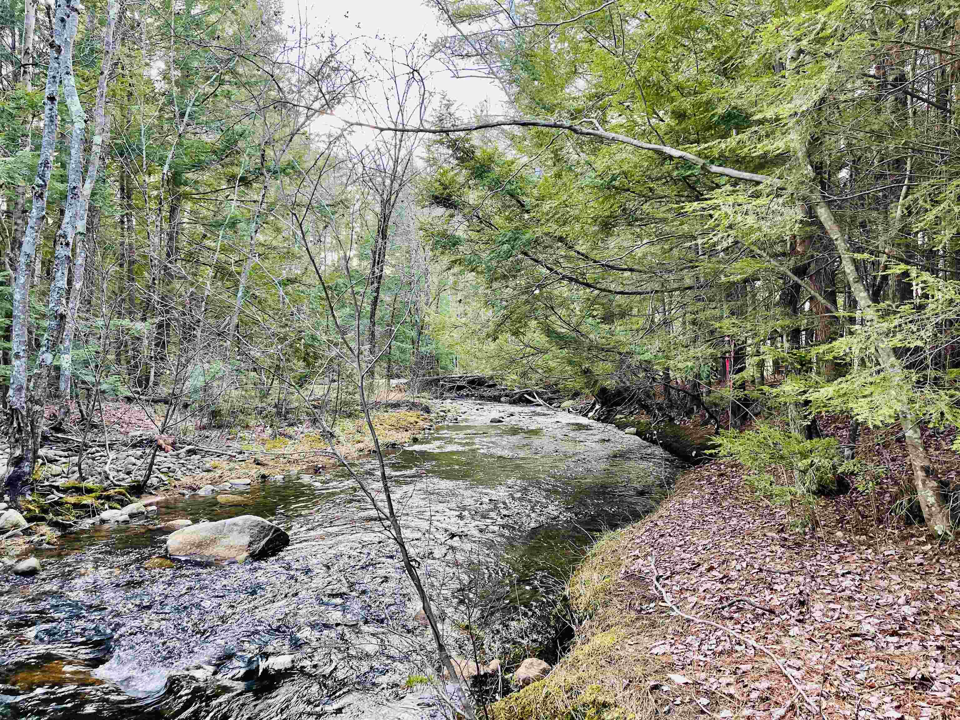 595 New Road Barnstead, NH 03225 - Photo 13 of 39