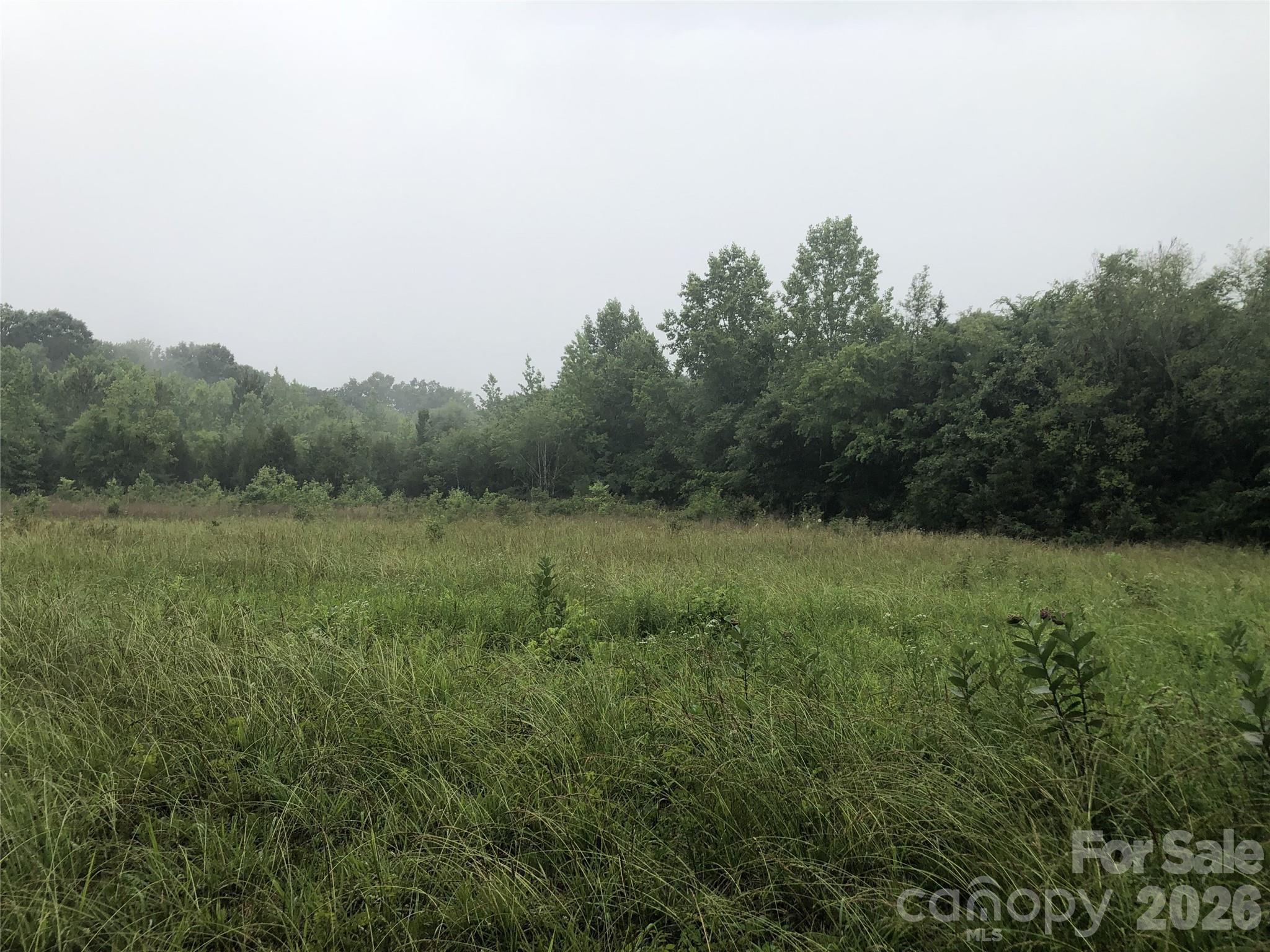 0 Barnhardt Road China Grove, NC 28023 - Photo 5 of 7