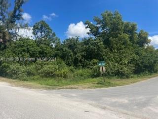 600 F Road Loxahatchee, FL 33470 - Photo 1 of 4 a view of a yard with a tree
