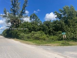 600 F Road Loxahatchee, FL 33470 - Photo 2 of 4 a view of a yard and a house