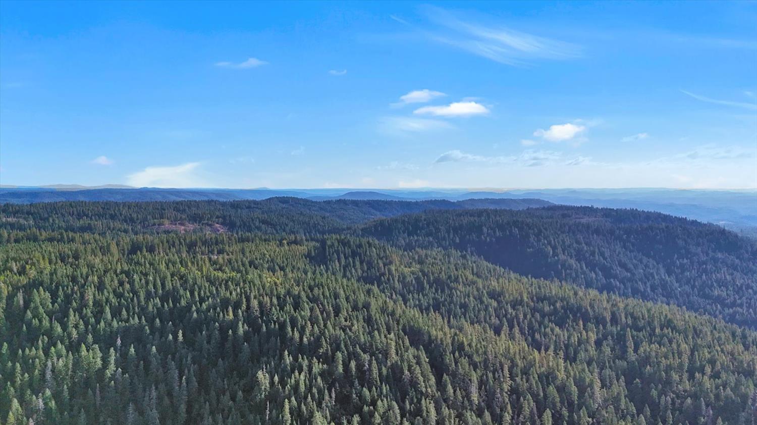 12683 Spider Hill Road Nevada City, CA 95959 - Photo 24 of 37