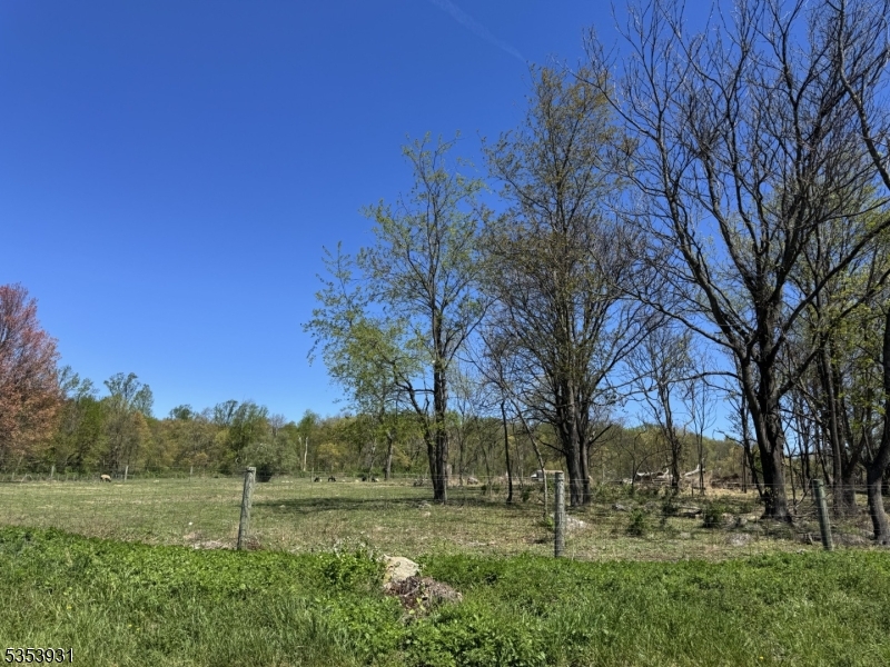 95 A Calais Road Randolph, NJ 07869 - Photo 4 of 4 a view of an outdoor space with a lake view