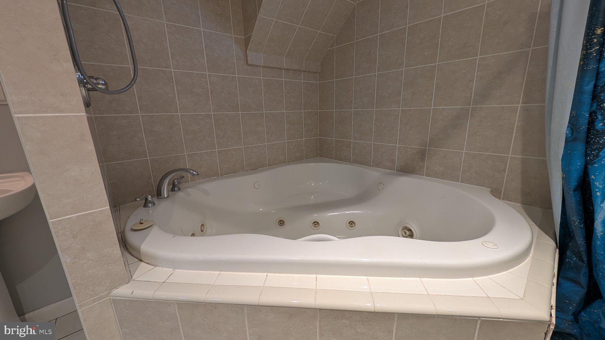 605 Shirley Manor Road Reisterstown, MD 21136 - Photo 23 of 26 Luxurious corner spa retreat.